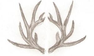 10885456_623716777730074_2100560296771706899_n