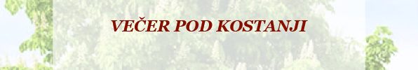 plakat_vecerpodkostanji-01